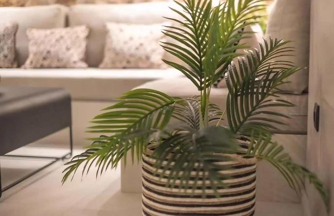 Apollonos 28 Luxury Suites-1